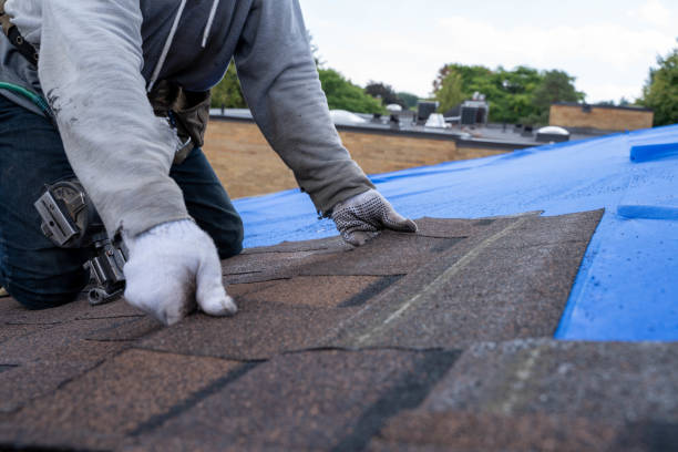 Best Residential Roofing Contractor  in Frankfort, IN